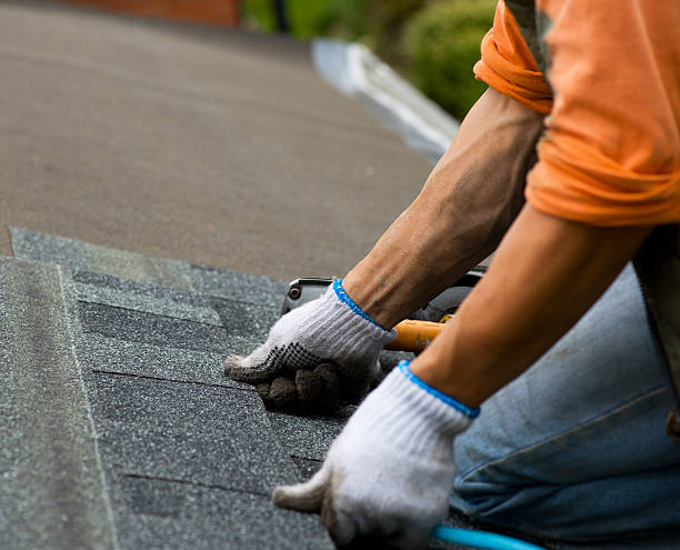 Best Metal Roofing Contractor  in Del Norte, CO