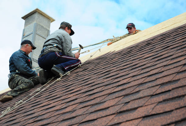 Best Residential Roofing Contractor  in Del Norte, CO